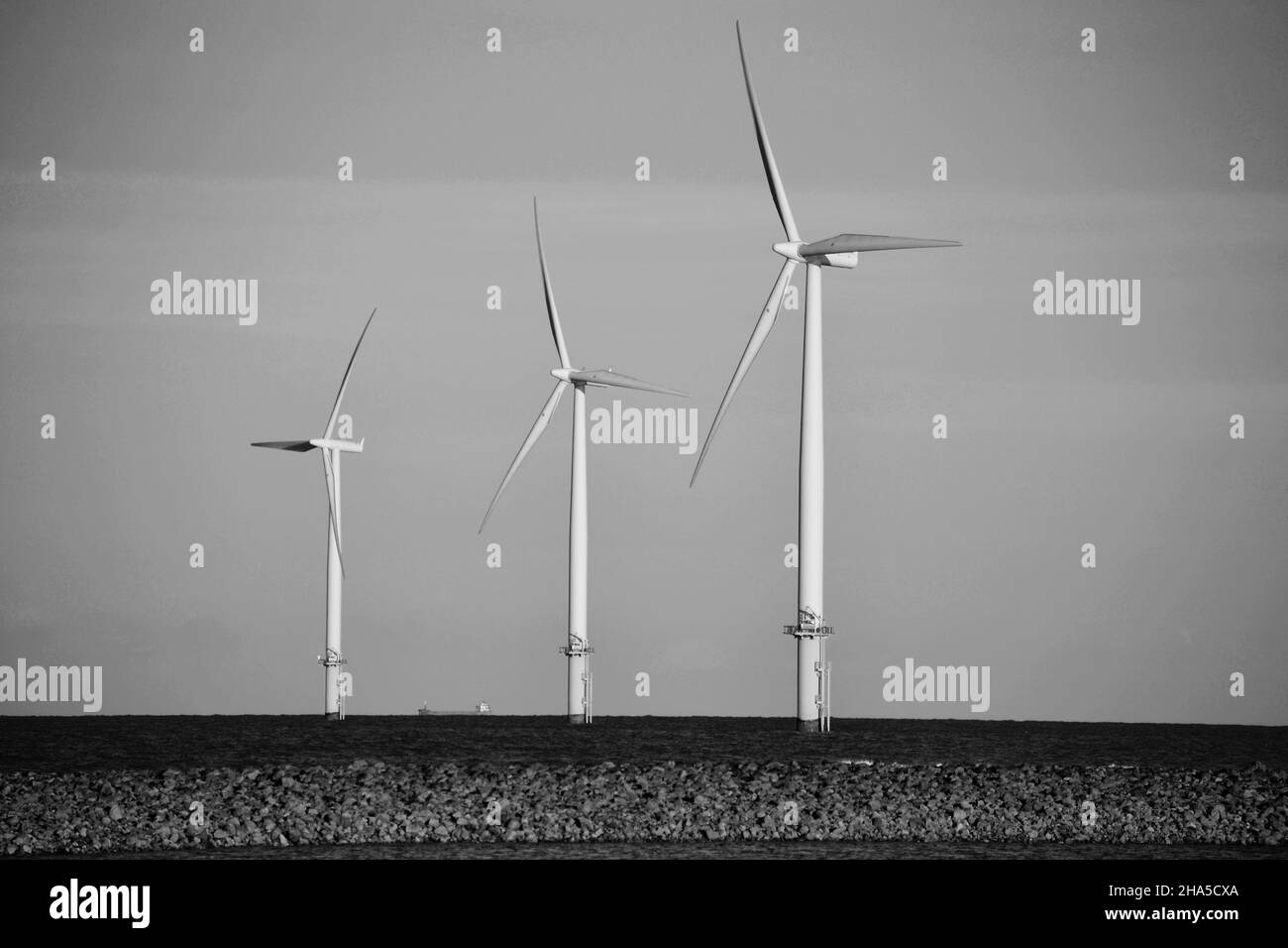 Immagine in bianco e nero con luce naturale della Teesside Offshore Wind Farm gestita da EDF Renewables. Nella foto di South Gare, Redcar, North Yorkshire, Regno Unito Foto Stock