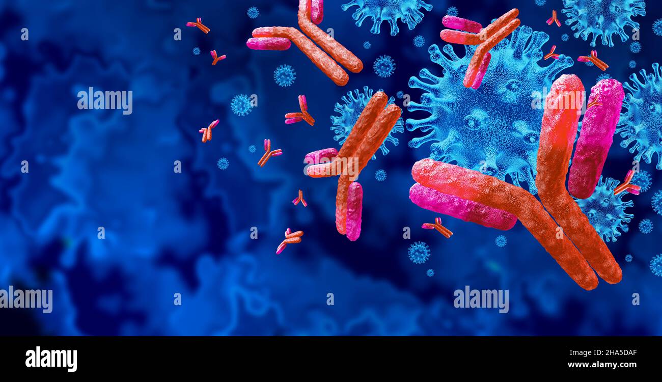 Anticorpi e background anticorpale e concetto di immunoglobulina come cellule che attaccano cellule contagiose del virus e patogeni come un'illustrazione del 3D. Foto Stock