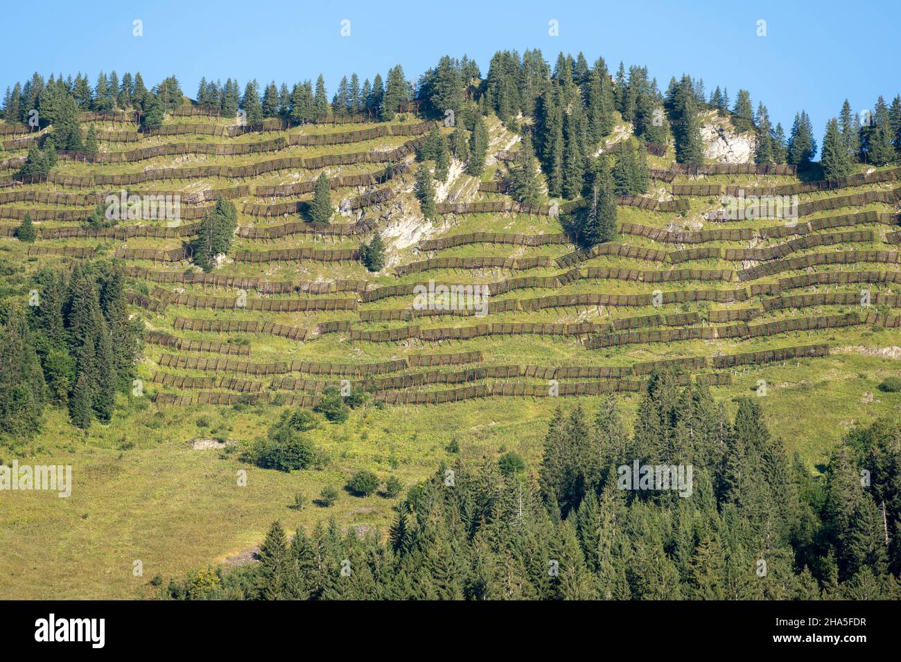 austria, kleinwalsertal, sistema di protezione contro le valanghe vicino a mittelberg. Foto Stock