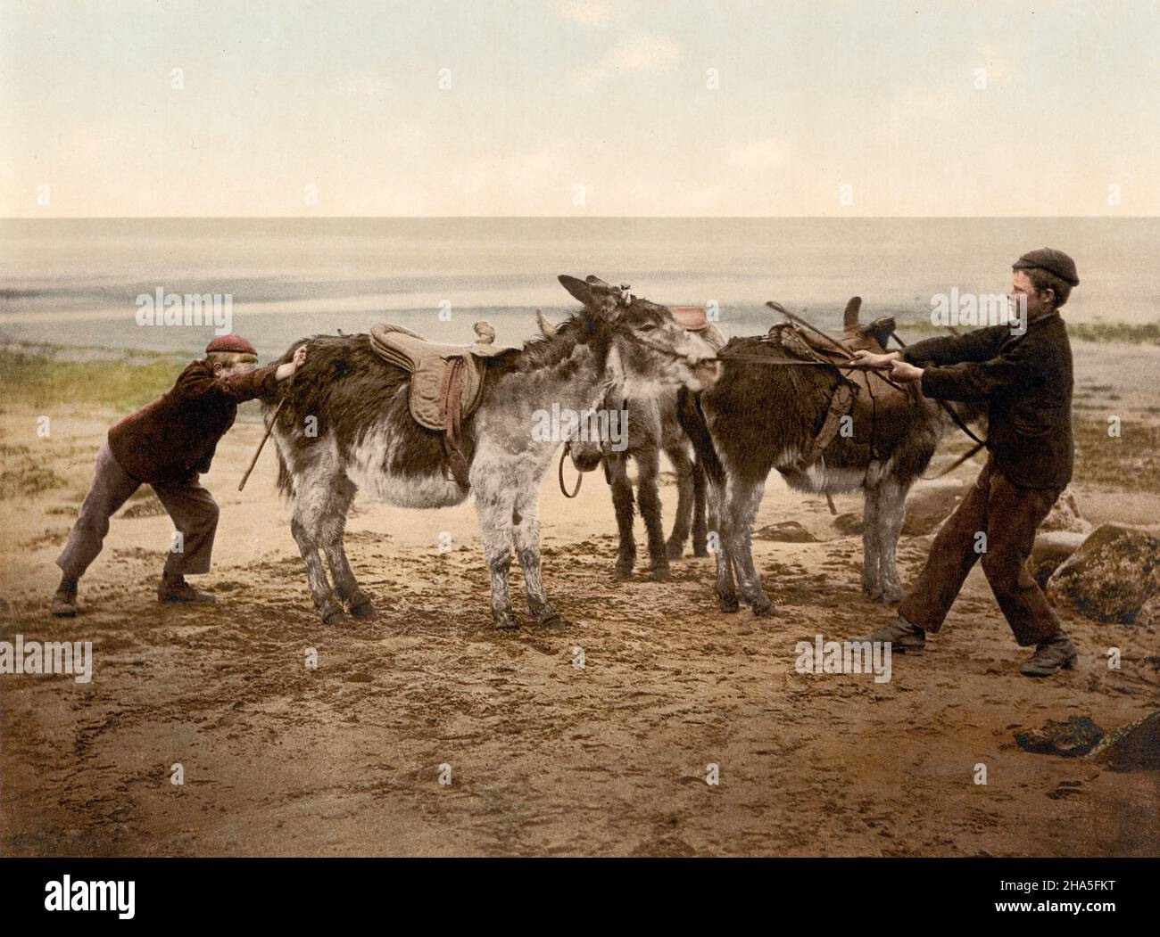 Two Boy - si spingono asini sulla spiaggia in inghilterra - 1890/1900 Foto Stock