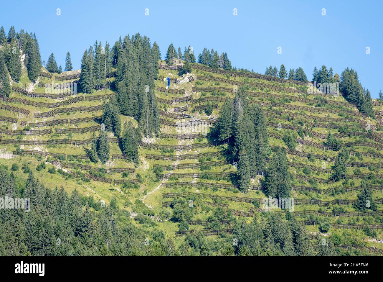 austria, kleinwalsertal, protezione contro le valanghe nei pressi di mittelberg. Foto Stock