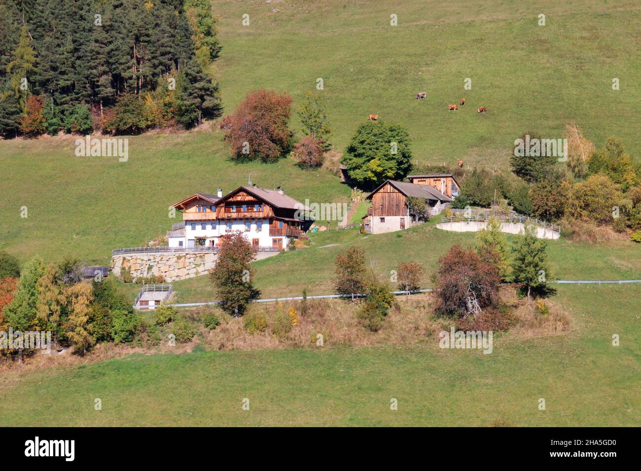 agriturismo in autunno vicino alla funivia di plose,provincia di bressanone,alto adige,italia Foto Stock