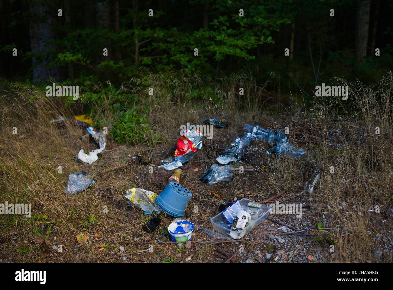 rifiuti domestici in dumping,inquinamento ambientale,area forestale vicino a kaltenbronn,foresta nera,baden-württemberg,germania Foto Stock