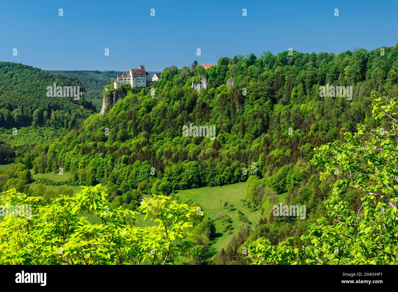 castello di werenwag, hausen an der donau, parco naturale dell'alto danubio, alb svevo, baden-württemberg, germania Foto Stock