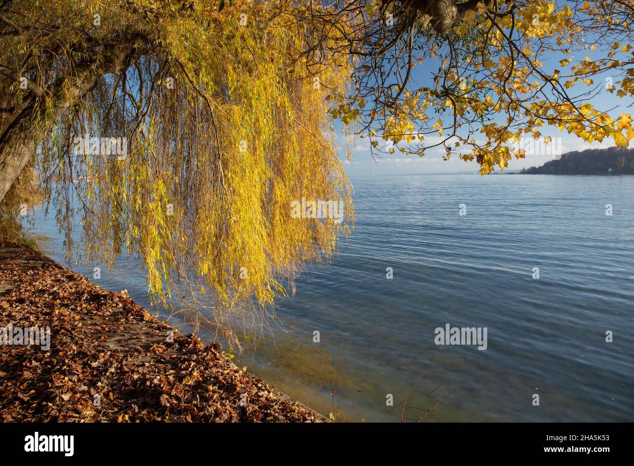 lago di costanza,mainau,isola,autunno dorato,estate indiana, Foto Stock