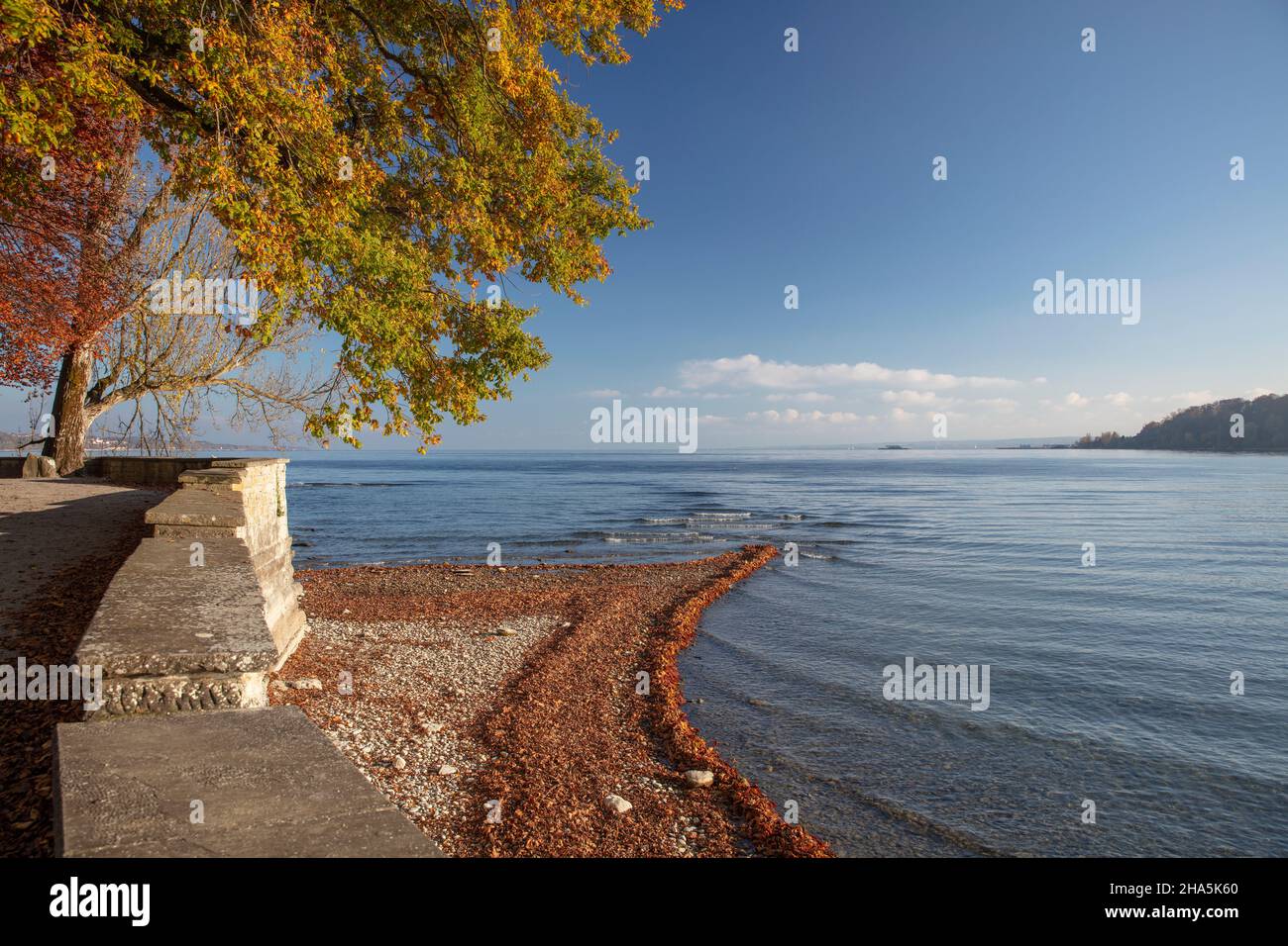 lago di costanza,mainau,isola,autunno dorato,estate indiana, Foto Stock
