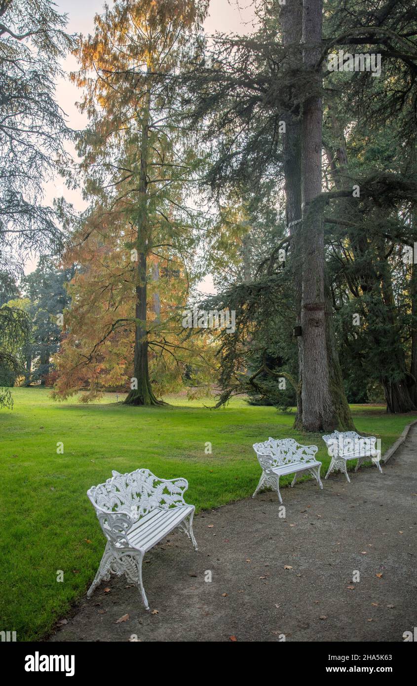 lago di costanza,mainau,isola,autunno dorato,estate indiana, Foto Stock