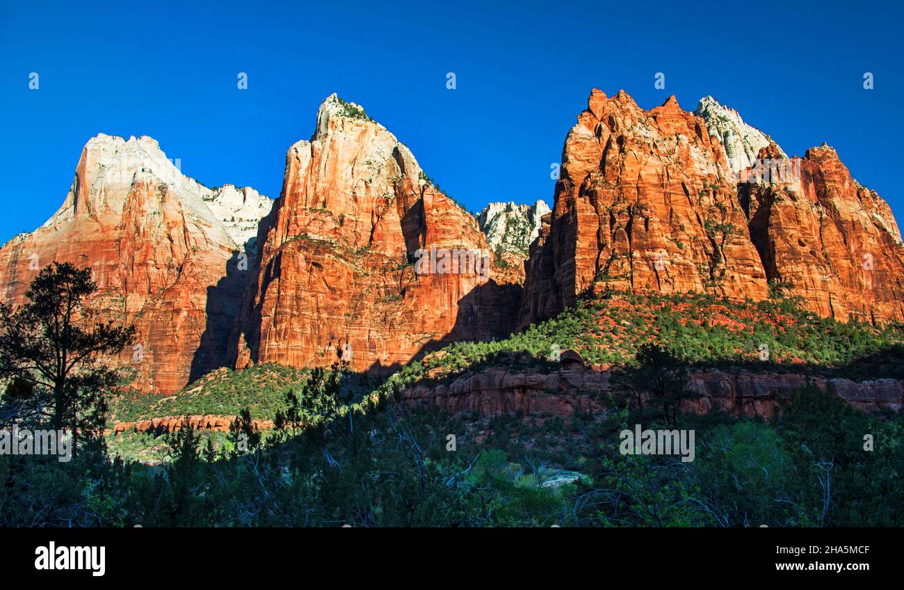 Court of the Patriarchs at Sunrise, Zion National Park, Utah Foto Stock