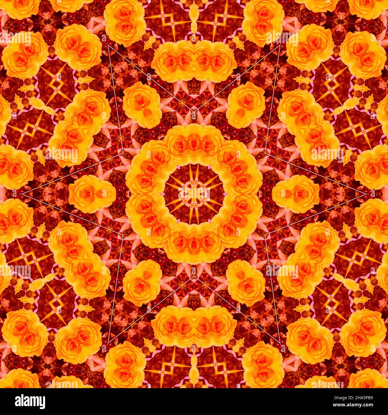 mandala, fiori, foglie Foto Stock