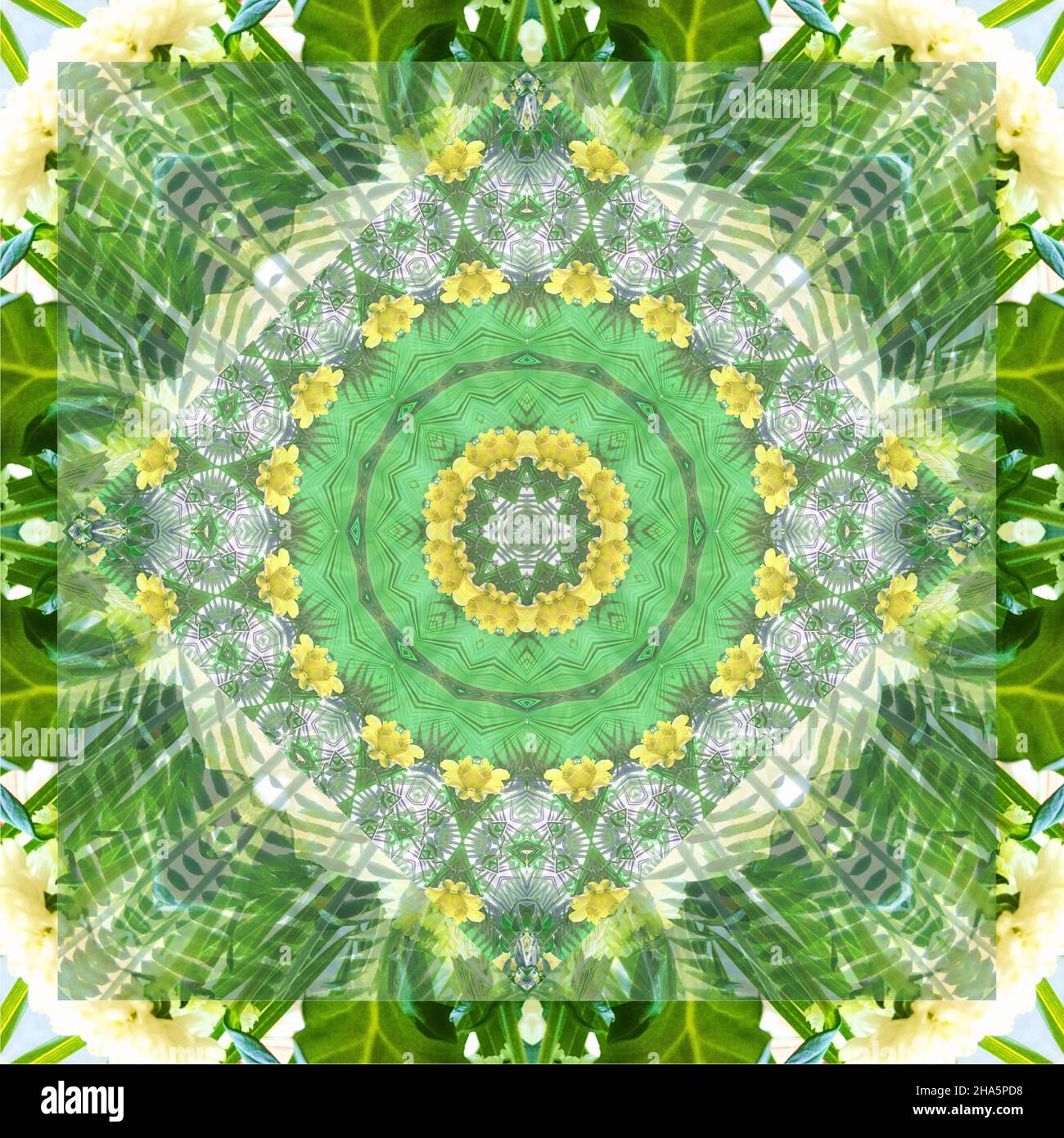 mandala, fiori, foglie Foto Stock