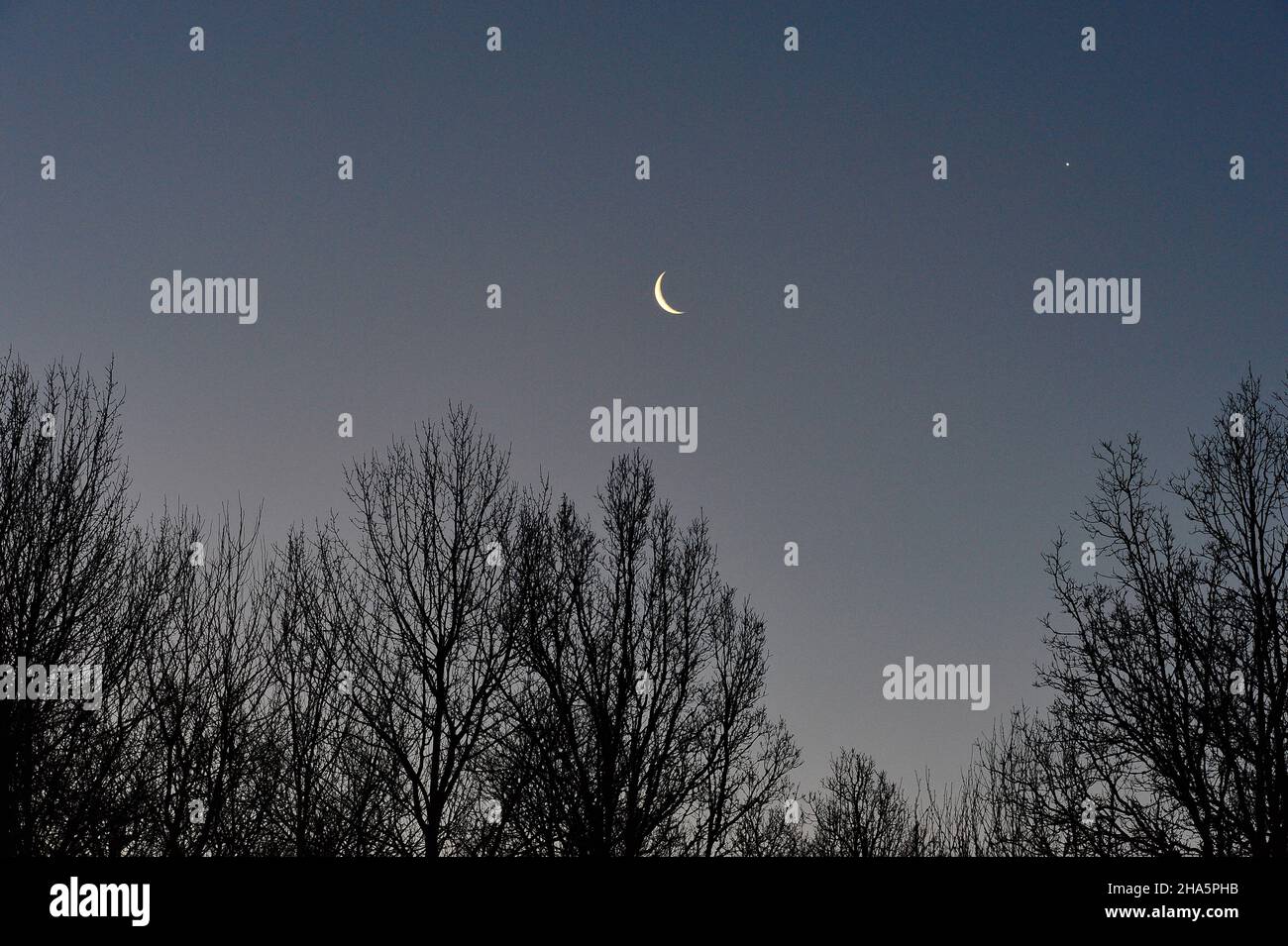 la luna crescente e una stella sopra le cime degli alberi,småland,svezia Foto Stock