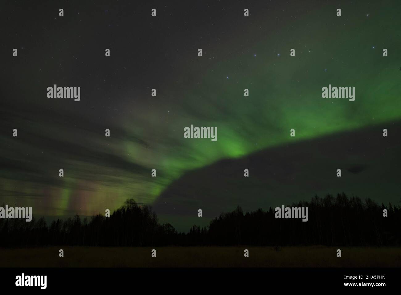 aurora boreale con cielo stellato,nyluspen,västerbottens län,lapponia,svezia Foto Stock