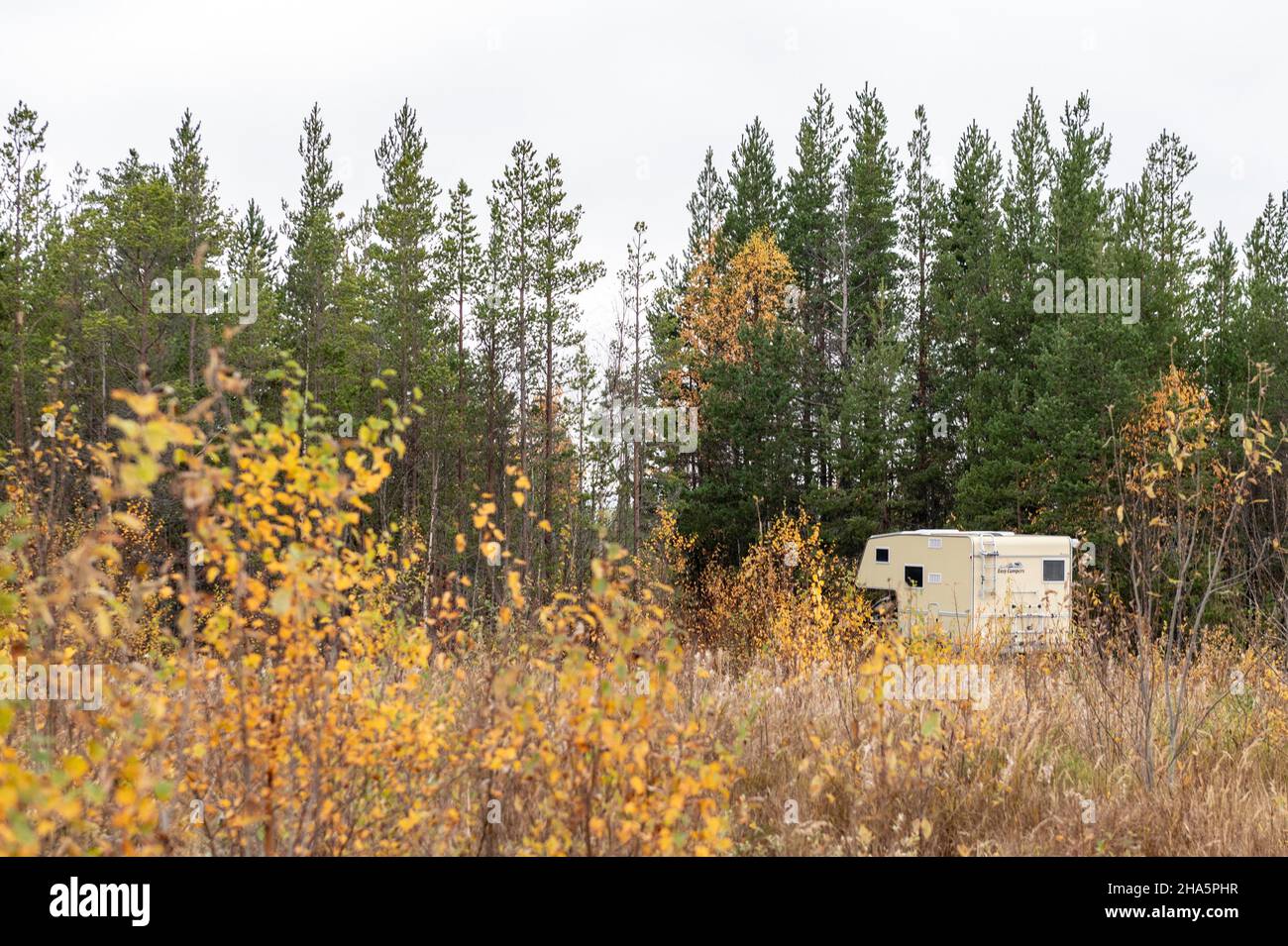 un camper in autunno in una foresta vicino sveg,jämtland,svezia Foto Stock