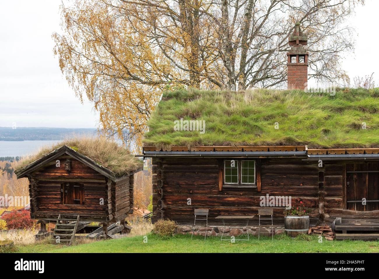 tipiche case in legno con tetto in erba,tällberg,siljansee,dalarna,svezia Foto Stock