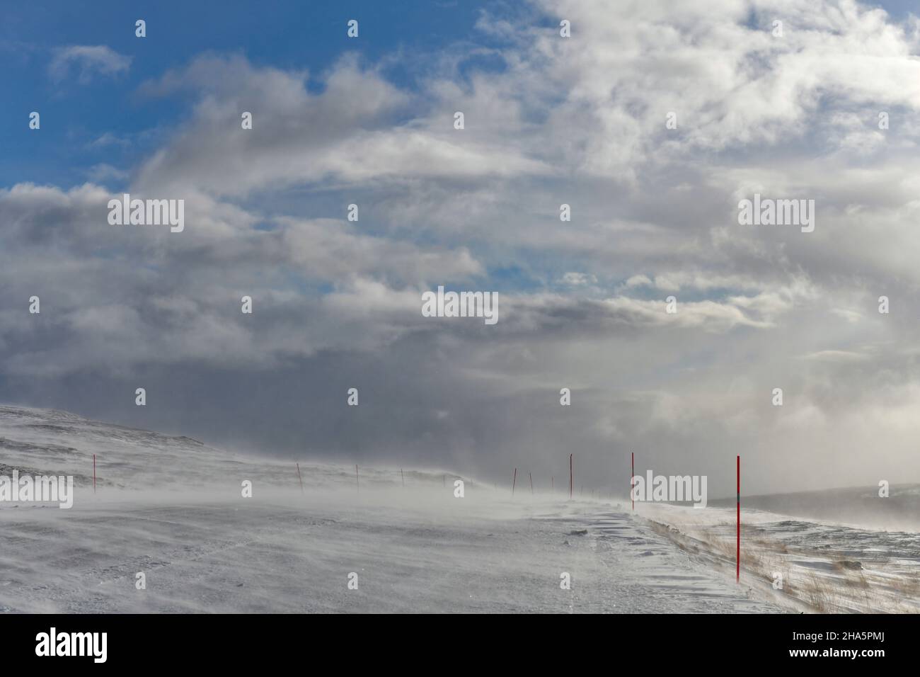 tempesta di neve su un passo di montagna, tydal, norvegia Foto Stock