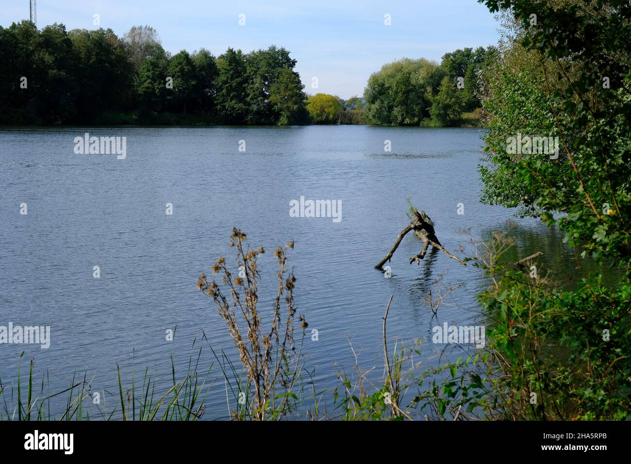 stagni di cava vicino a dörfleins, parte del progetto di vita natura alta valle principale, città di hallstadt, distretto di bamberg, alta franconia, franconia, baviera, germania Foto Stock