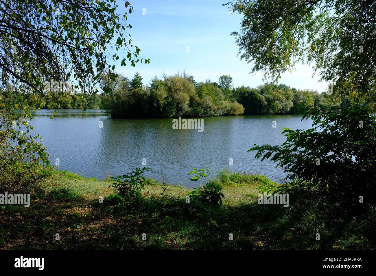 stagni di cava vicino a dörfleins, parte del progetto di vita natura alta valle principale, città di hallstadt, distretto di bamberg, alta franconia, franconia, baviera, germania Foto Stock