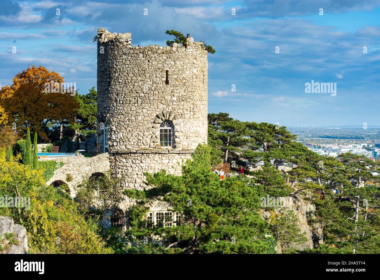 mödling,naturpark föhrenberge (parco naturale di föhrenberge),schwarzer turm (torre nera),alberi di pino austriaco (pino nero, pinus nigra) a wienerwald,boschi di vienna,niederösterreich / bassa austria,austria Foto Stock