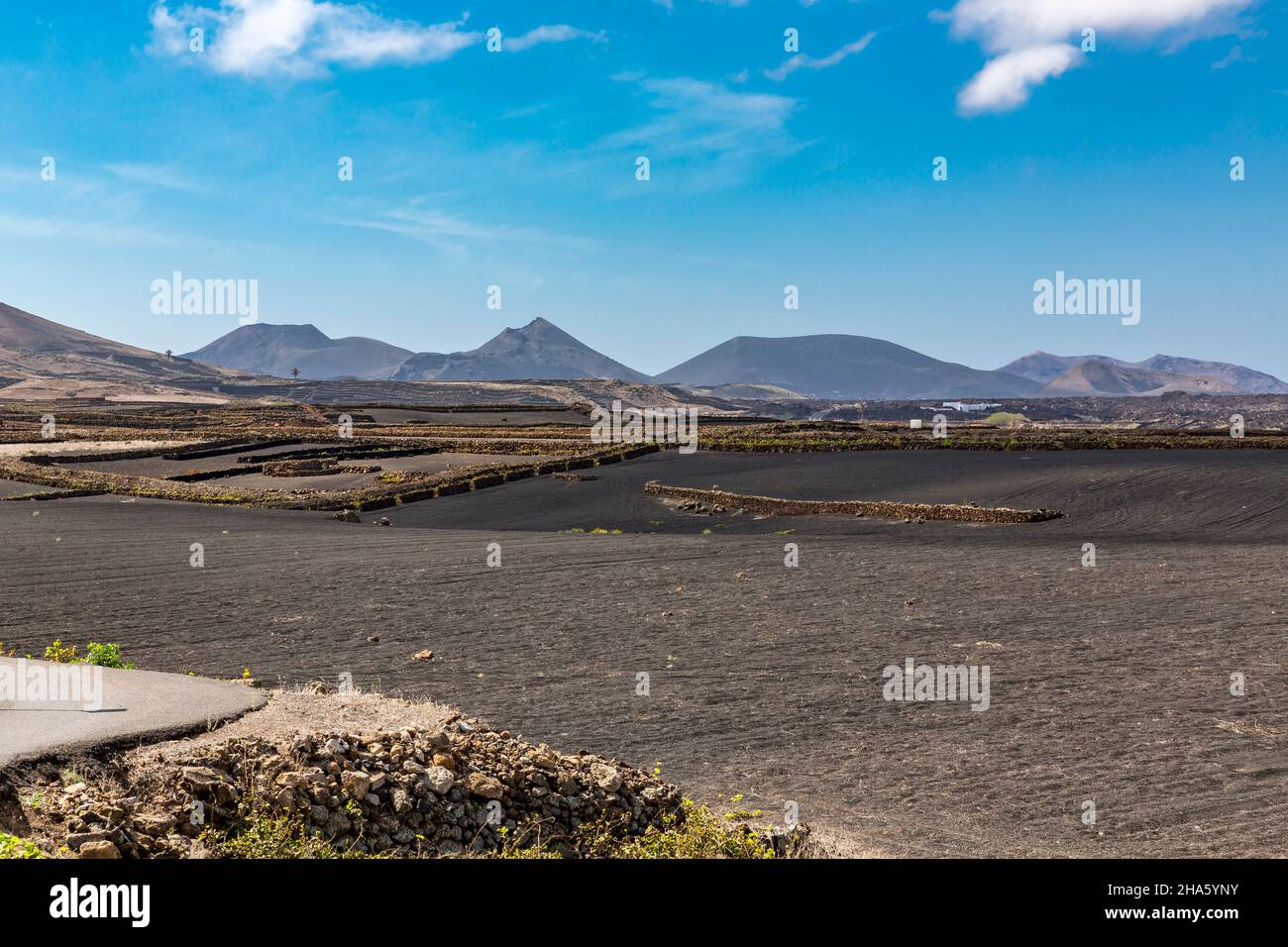 agricoltura nel paesaggio vulcanico, vicino mancha blanca, tinajo, dietro i vulcani del parco nazionale di timanfaya, lanzarote, canarie, isole canarie, spagna, europa Foto Stock