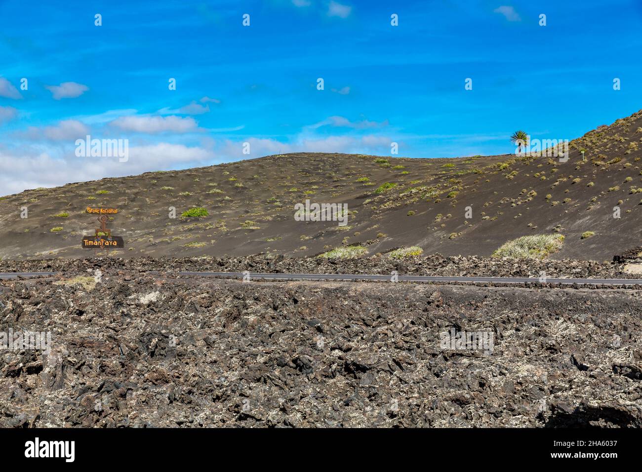 Palma solitaria, ingresso al parco nazionale di timanfaya, cartello d'ingresso, scultura del diavolo el diablo, logo disegnato da césar manrique, parco nazionale di timanfaya, vulcano la montana los miraderos, parque nacional de timanfaya, montanas del fuego, lanzarote, isole canarie, spagna, europa Foto Stock