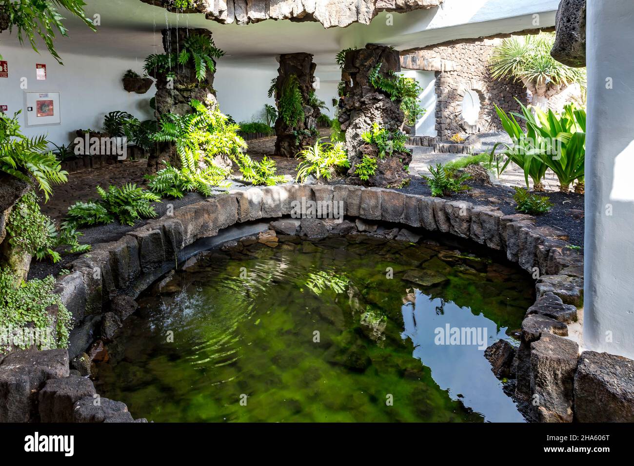 bacino d'acqua nella casa de los volcanes, casa dei vulcani, centro di ricerca, centro informazioni, jameos del agua, sito artistico e culturale, costruito da césar manrique, artista spagnolo di lanzarote, 1919-1992, lanzarote, canarie, isole canarie, spagna, europa Foto Stock