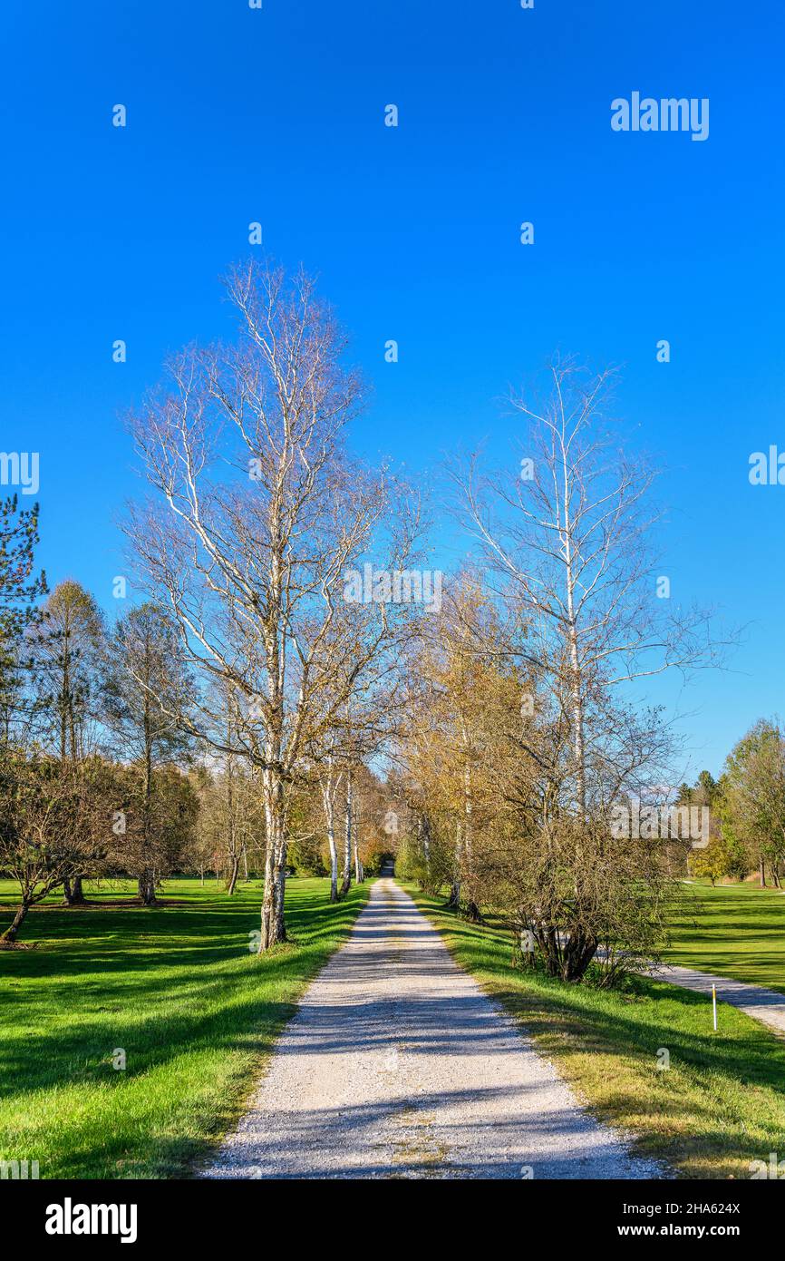 germania,baviera,alta baviera,terra di tölzer,eurasburg,quartiere beuerberg,campo da golf,club di golf beuerberg Foto Stock