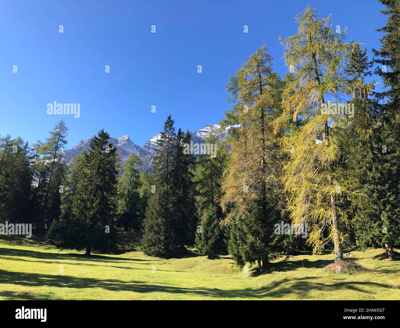 Natura 2000 immagini e fotografie stock ad alta risoluzione - Alamy