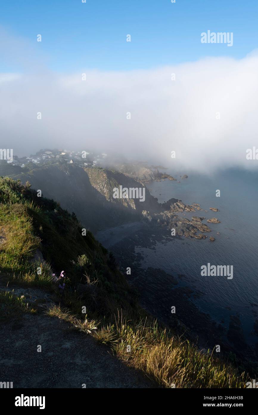 Nube bassa e nebbia di mare sulla costa, Titahi Bay, Porirua, Wellington, Isola del Nord, Nuova Zelanda Foto Stock