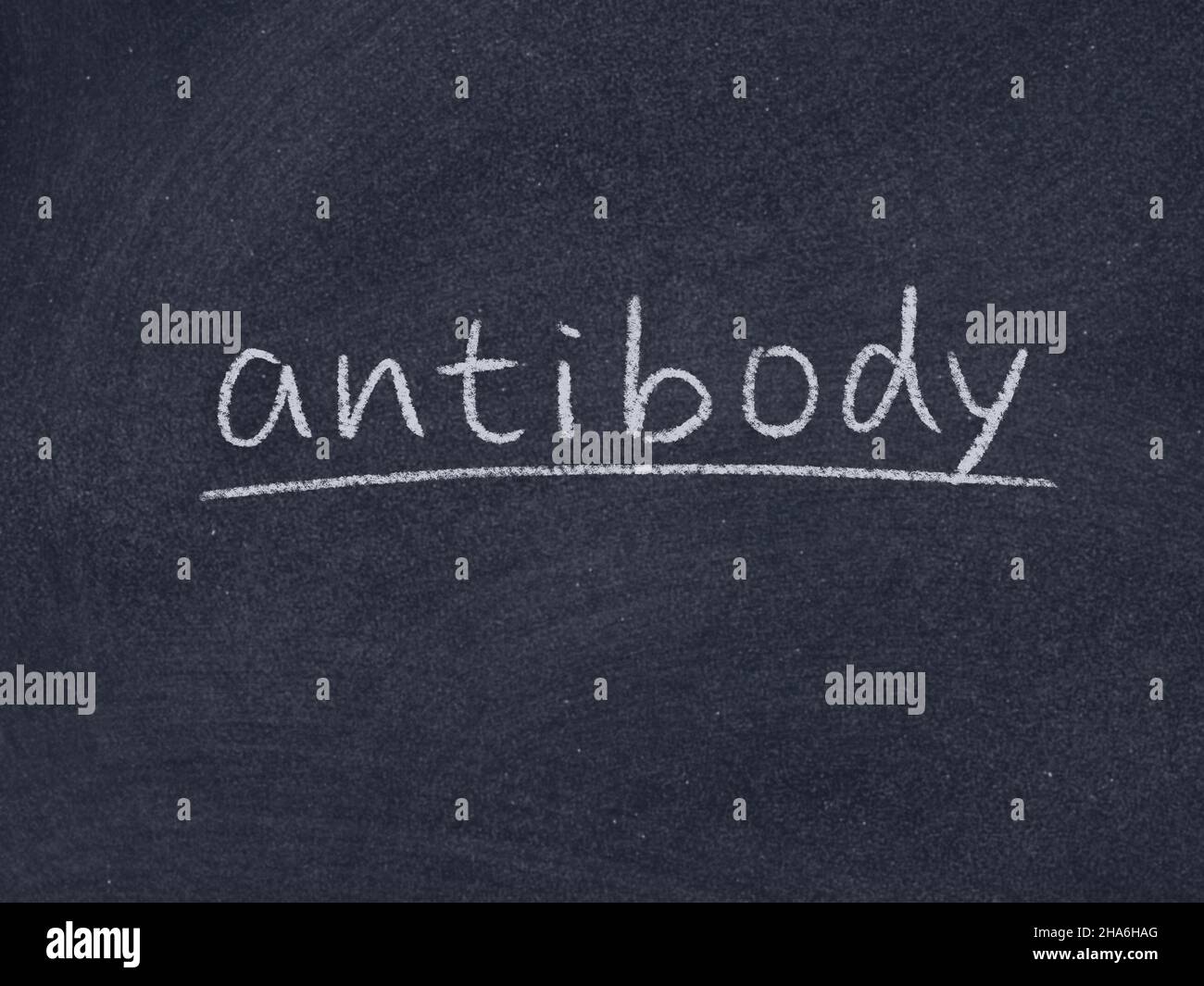 parola di concetto di anticorpo sullo sfondo della lavagna Foto Stock