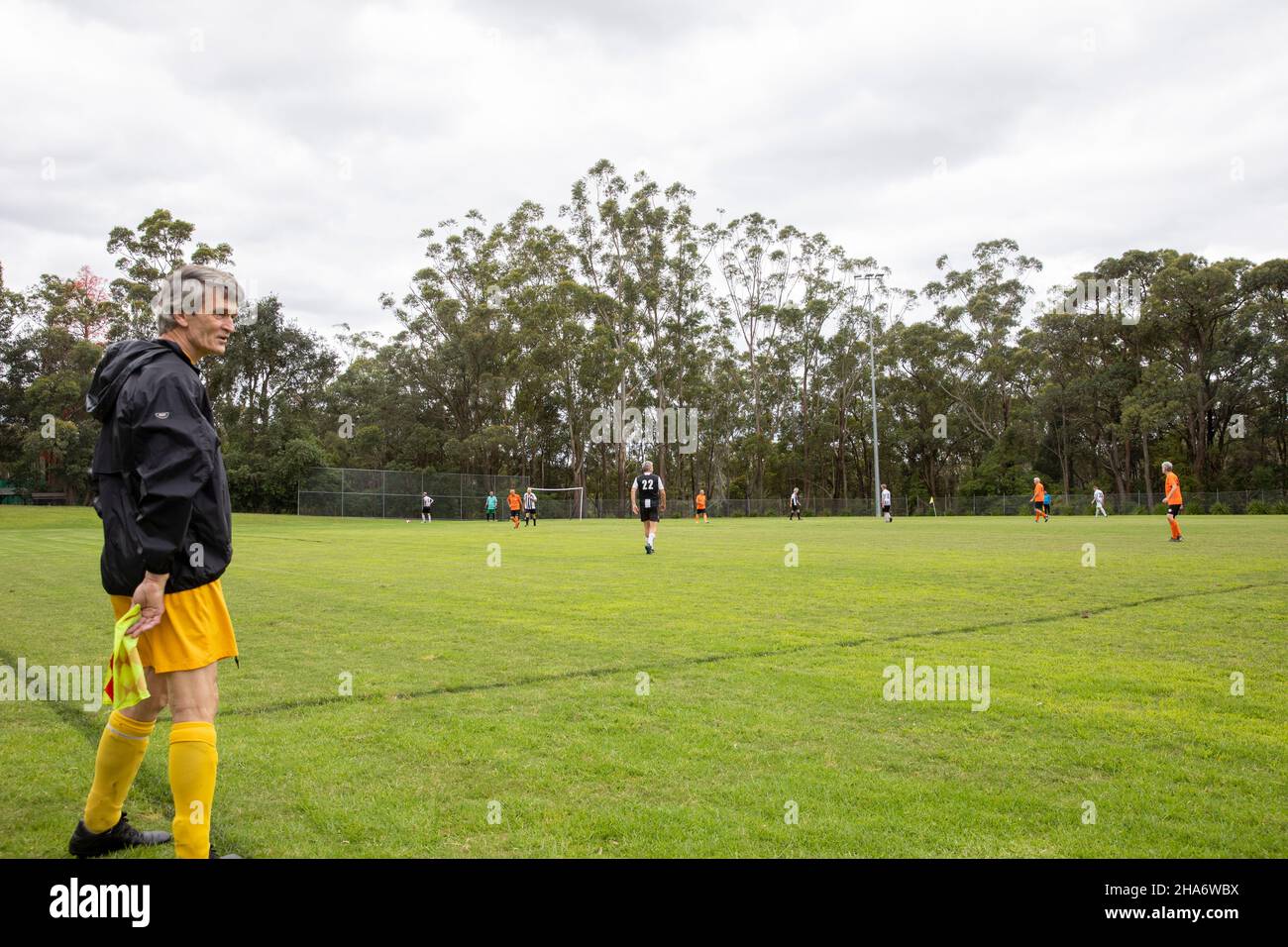 Il calcio dilettante a Sydney, l'Australia Mens oltre la partita di calcio  di 55, assistente di arbitri che corre la linea di contatto con la bandiera  Foto stock - Alamy