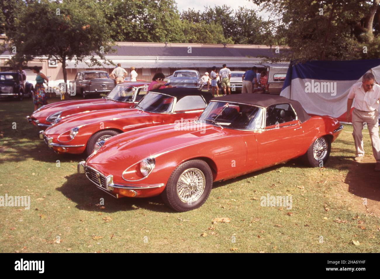 Un trio di vetture rosse e Type Jaguar all'annuale Ellerslie Car Show, tenuto all'ippodromo di Auckland e gestito da un consorzio di club automobilistici. Foto Stock