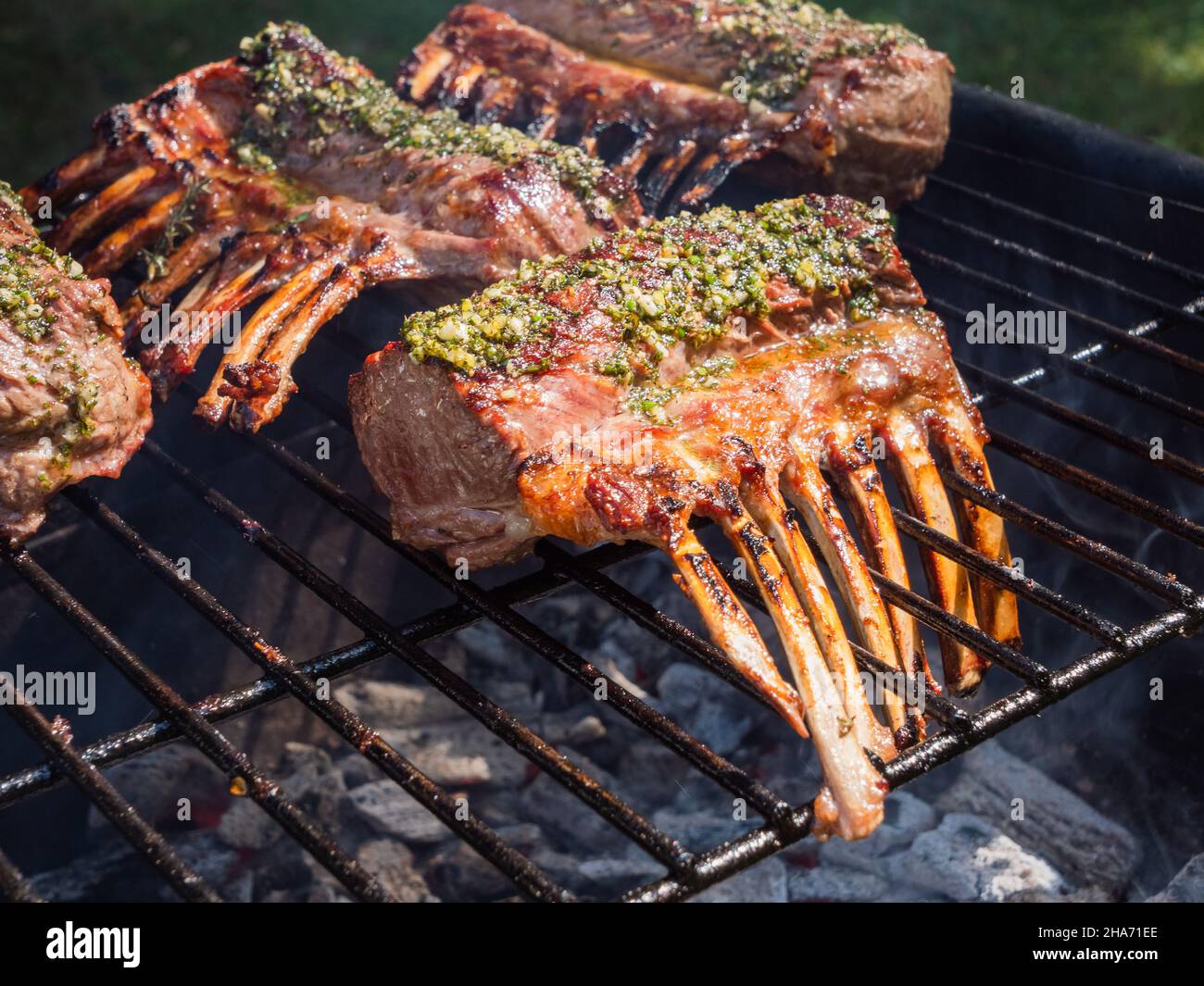 Rack di agnello sul barbecue griglia grate ingiallito con erbe Foto Stock