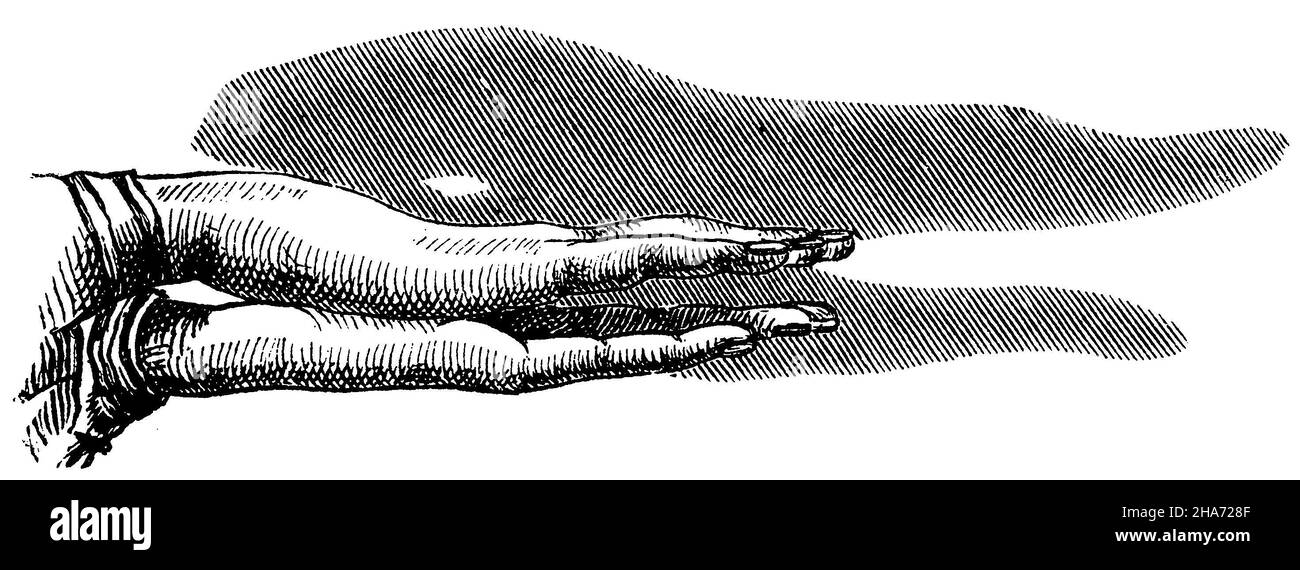 Gioco d'ombra: Coccodrillo, , anonima (libro di gioco, 1876) Foto Stock