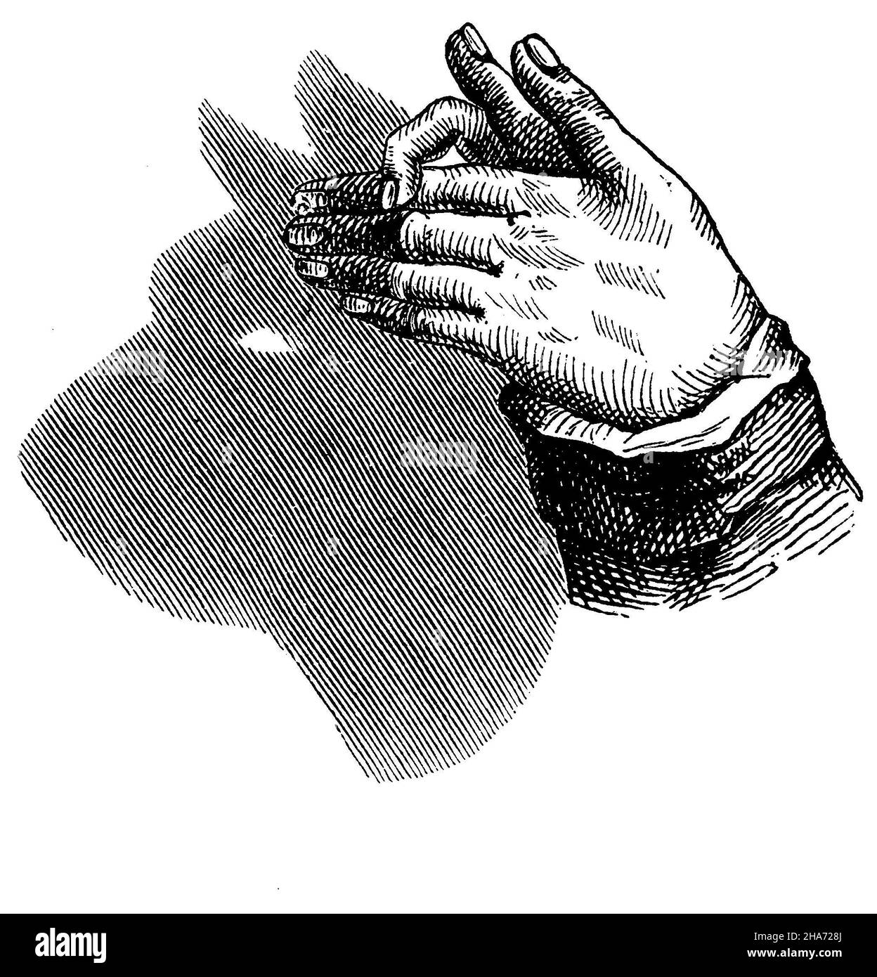 Gioco d'ombra: Cane, , Anonym (libro di gioco, 1876) Foto Stock