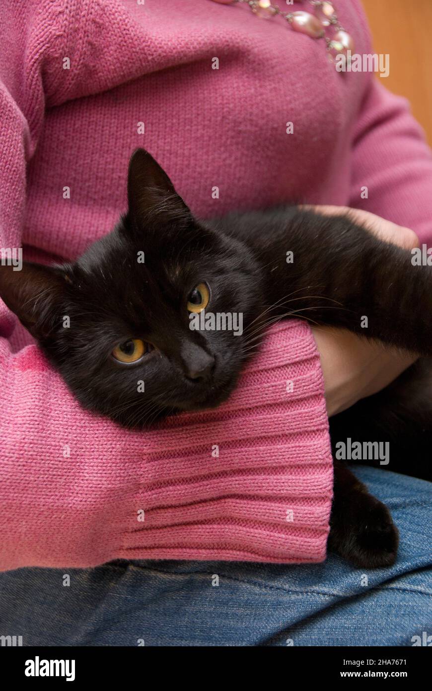 donna che tiene in braccio un gatto nero Foto Stock