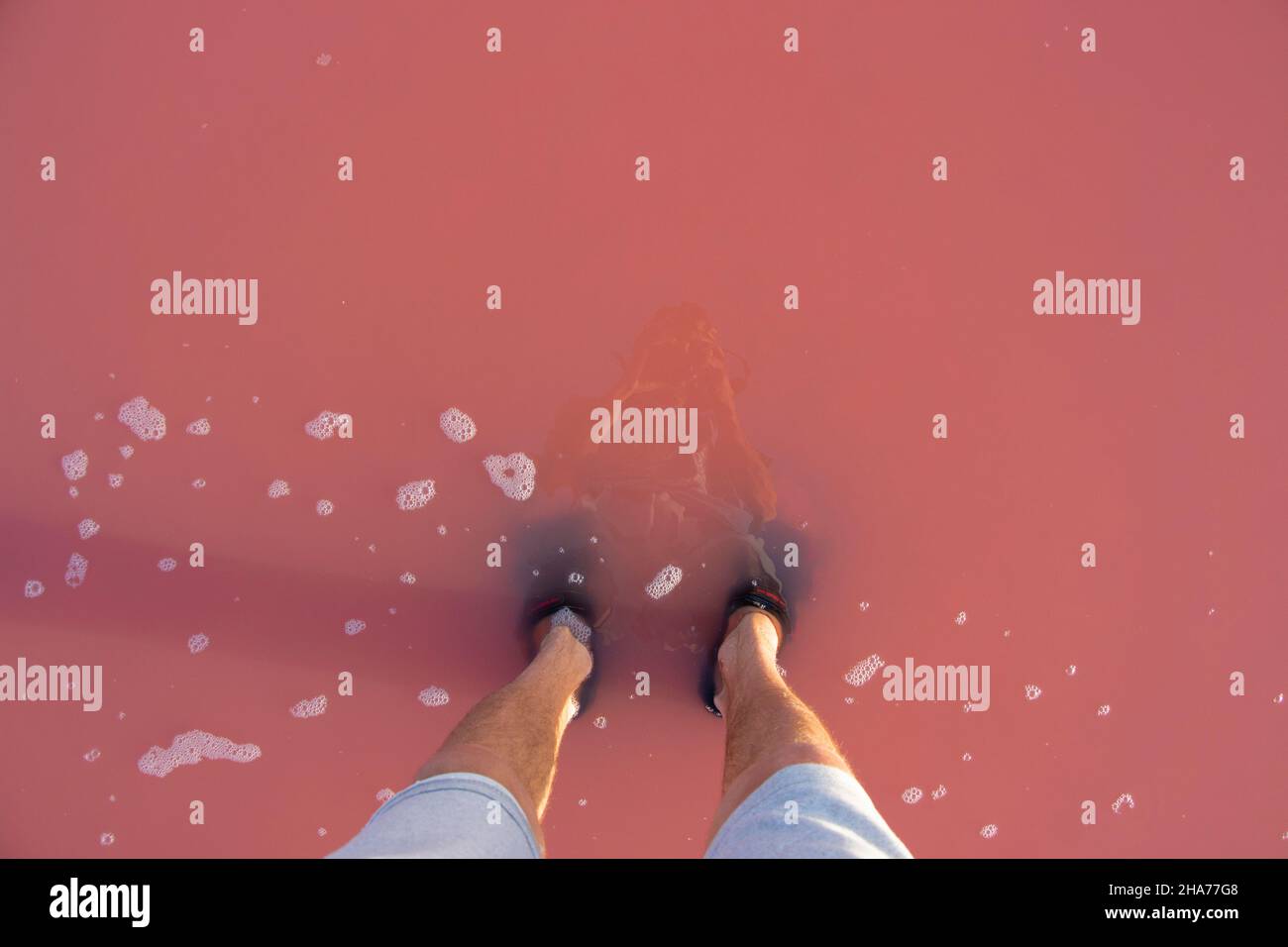 Piedi in acqua rosa. Lago salato rosa. Foto Stock