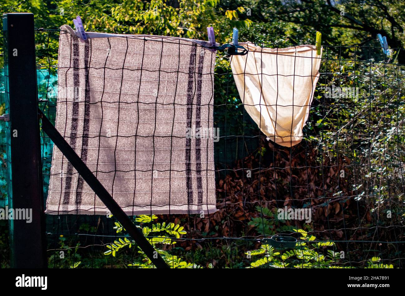 Lavaggio su una linea Foto Stock