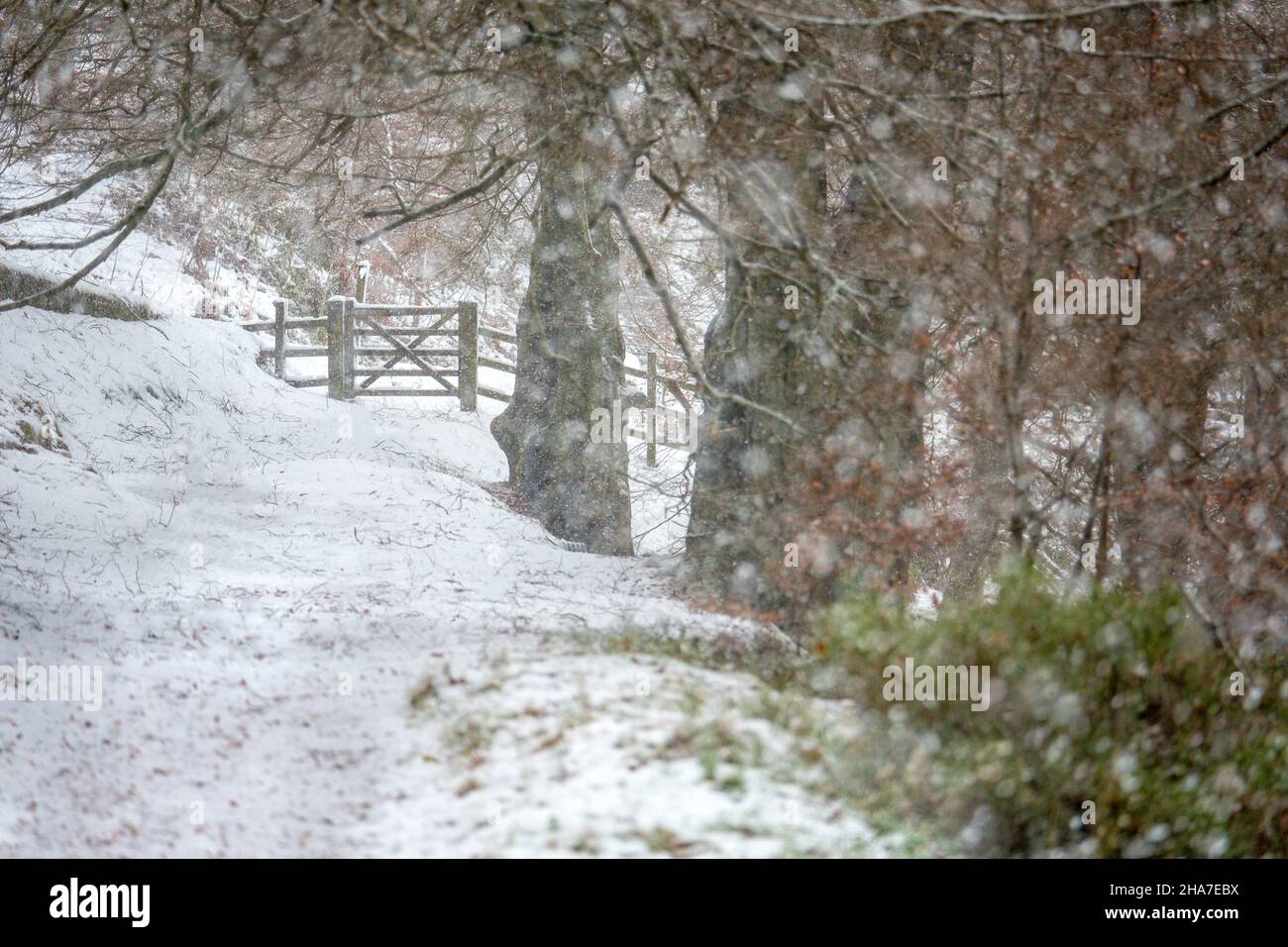 La Goyt Valley nel Derbyshire Peak District in inverno neve. Foto Stock