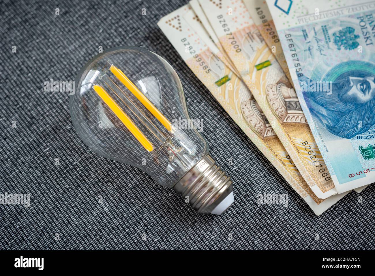 Lampadina con denaro polacco. Concetto di risparmio energetico, bolletta elettrica Foto Stock