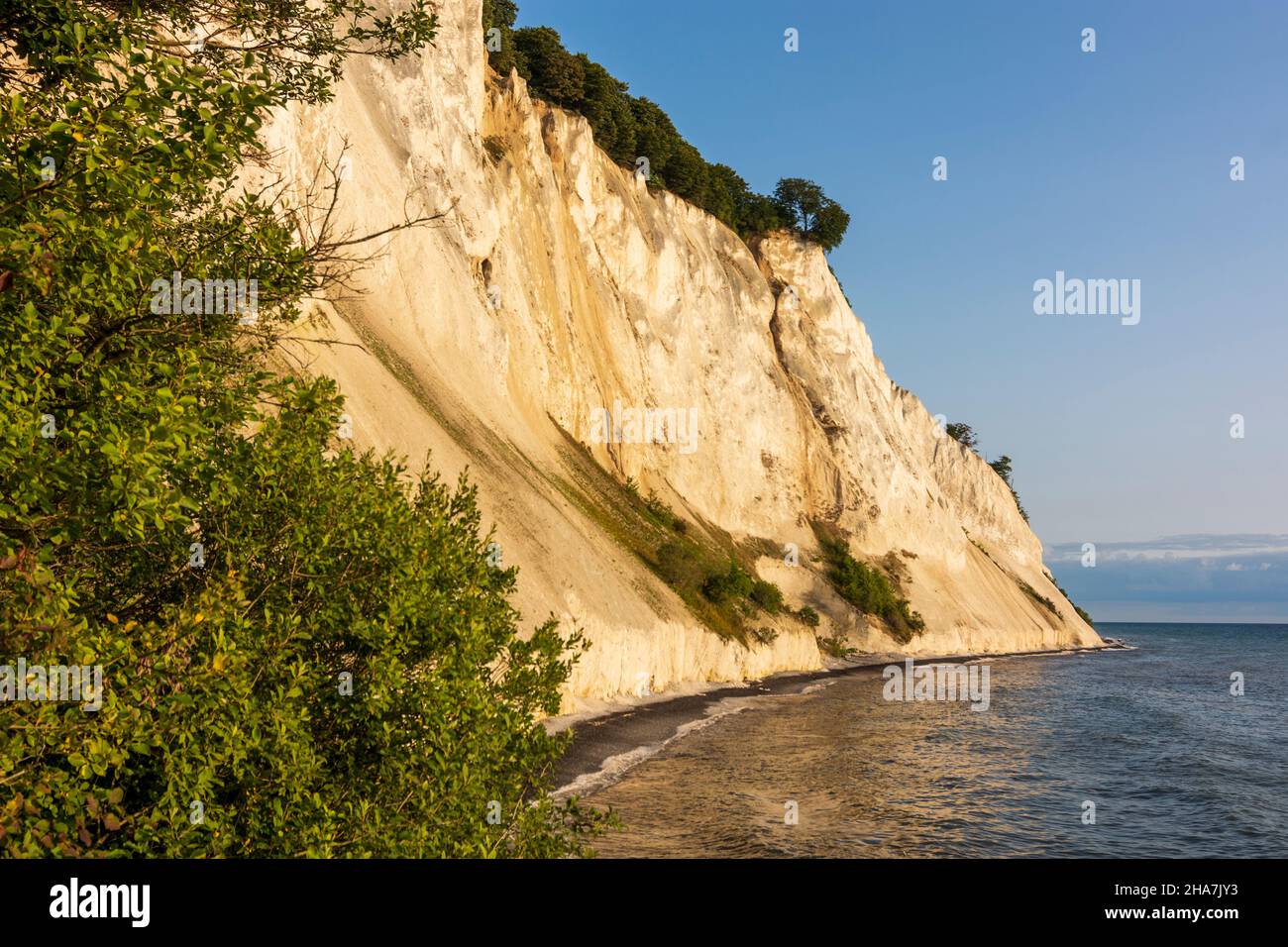 Vordingborg: Scogliere di gesso di Moens Klint, Mar Baltico, faggi, a Moens Klint, Moen, Danimarca Foto Stock