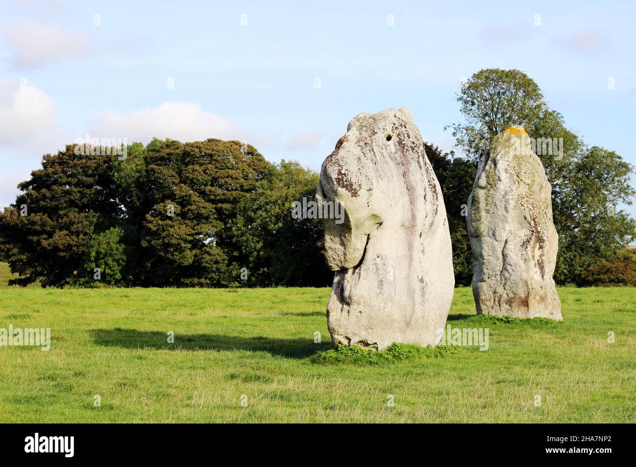 Curiosità nelle pietre di Avebury henge, che ha tre cerchi di pietra tra cui il più grande cerchio di pietra neolitico del mondo Foto Stock