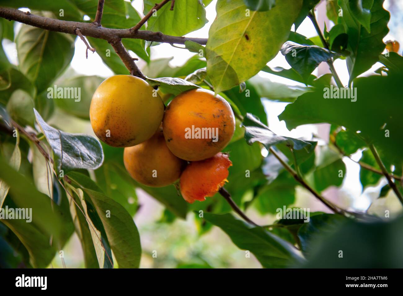 nuvole sopra Foto Stock