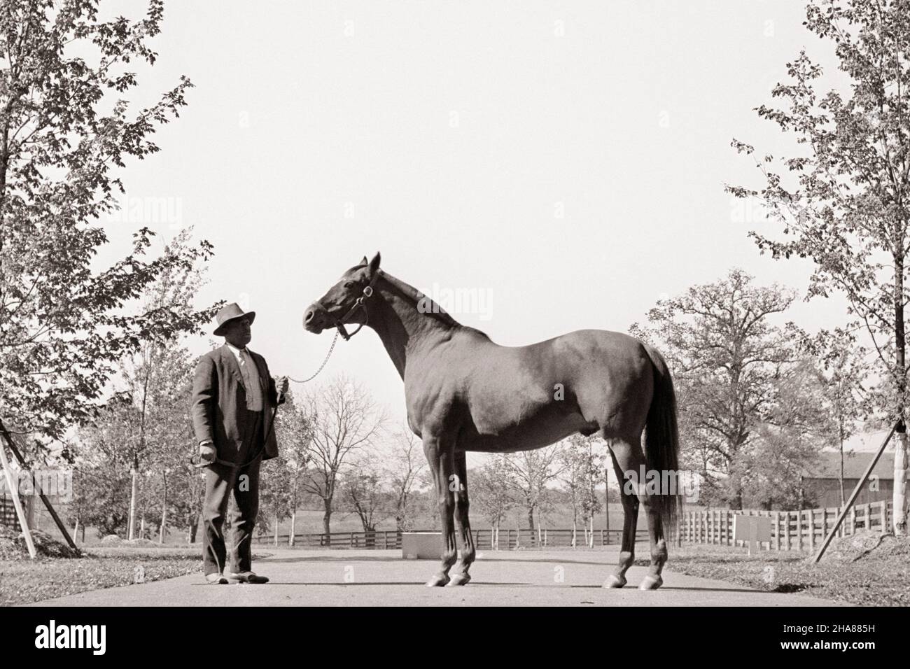 1920S UOMO 'O CAMPIONE DI GUERRA CAVALLO PUROSANGUE CON SPOSO - H1911 LAN001 HARS GESTORE MAMMIFERO CORSA CAVALLO STALLONE BIANCO E NERO GRAZIOSO VECCHIO STILE Foto Stock