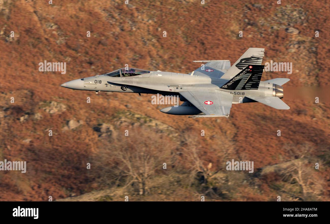 F-18 Svizzero Hornets volo basso nel LFA17 durante esercizio Yorknite 2021 Foto Stock