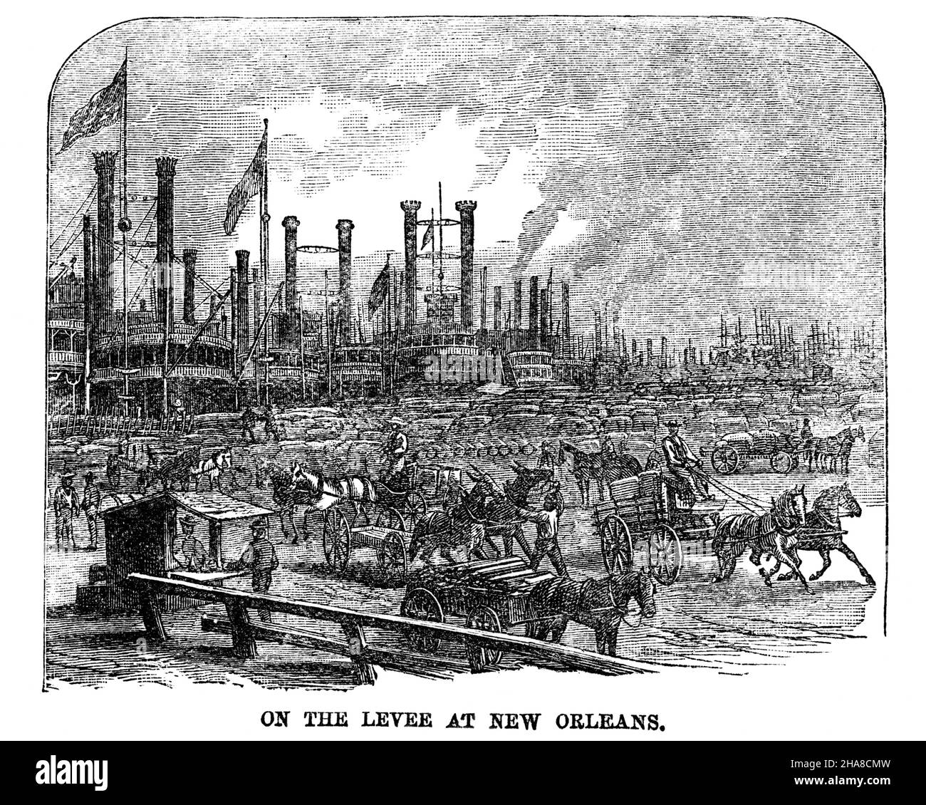 1880S ILLUSTRAZIONE BATTELLI A VAPORE LAVORATORI CARGO CAVALLI DI COTONE E CARRI UOMINI TUTTI SUL LEVEE A NEW ORLEANS LA USA - O3288 HAR001 HARS CARGO B&W NORD AMERICA MAMMIFERI NORDAMERICANI AD ALTO ANGOLO ORLEANS ED ECCITAMENTO PROGRESSO LOUISIANA OPPORTUNITÀ BARCHE A VAPORE 1880S CITTÀ STELLE E STRISCE VAGONI FREIGHTER VECCHIA GLORIA LEVEE MAMMIFERO ROSSO BIANCO E BLU SPEDIZIONE NERO E BIANCO HAR001 LA MISSISSIPPI MISSISSIPPI FIUME NEW ORLEANS VECCHIO STILE BARCA FLUVIALE A RUOTA PADDLEWHEEL Foto Stock 1880S ILLUSTRAZIONE BATTELLI A VAPORE LAVORATORI CARGO CAVALLI DI COTONE E CARRI UOMINI TUTTI SUL LEVEE A NEW ORLEANS LA USA - O3288 HAR001 HARS CARGO B&W NORD AMERICA MAMMIFERI NORDAMERICANI AD ALTO ANGOLO ORLEANS ED ECCITAMENTO PROGRESSO LOUISIANA OPPORTUNITÀ BARCHE A VAPORE 1880S CITTÀ STELLE E STRISCE VAGONI FREIGHTER VECCHIA GLORIA LEVEE MAMMIFERO ROSSO BIANCO E BLU SPEDIZIONE NERO E BIANCO HAR001 LA MISSISSIPPI MISSISSIPPI FIUME NEW ORLEANS VECCHIO STILE BARCA FLUVIALE A RUOTA PADDLEWHEEL Foto Stock