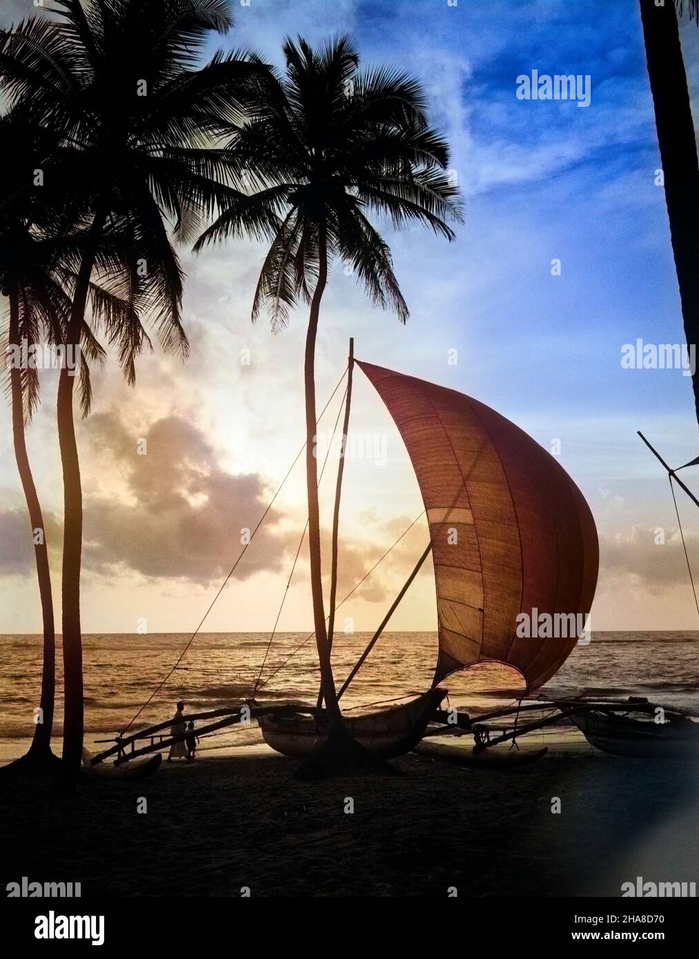 1930S CATAMARANO SINGOLO SULLA SPIAGGIA TROPICALE AL TRAMONTO PALM TREES SRI LANKA - Q319C HAR001 HARS SANDY SRI LANKA CATAMARANO BENGALA BAY PALM TREES PALMS RESORT VACANZE HAR001 VECCHIO STILE Foto Stock