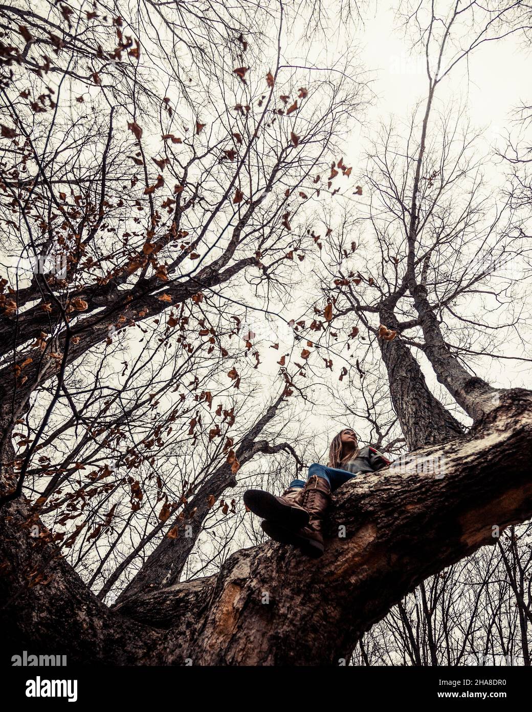 Ritratto di donna adulta seduta in albero nella foresta del Minnesota Foto Stock