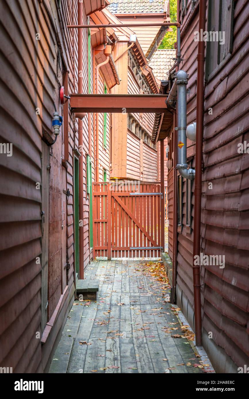 Bryggen, il centro storico molto interessante di Bergen, Norvegia Foto Stock