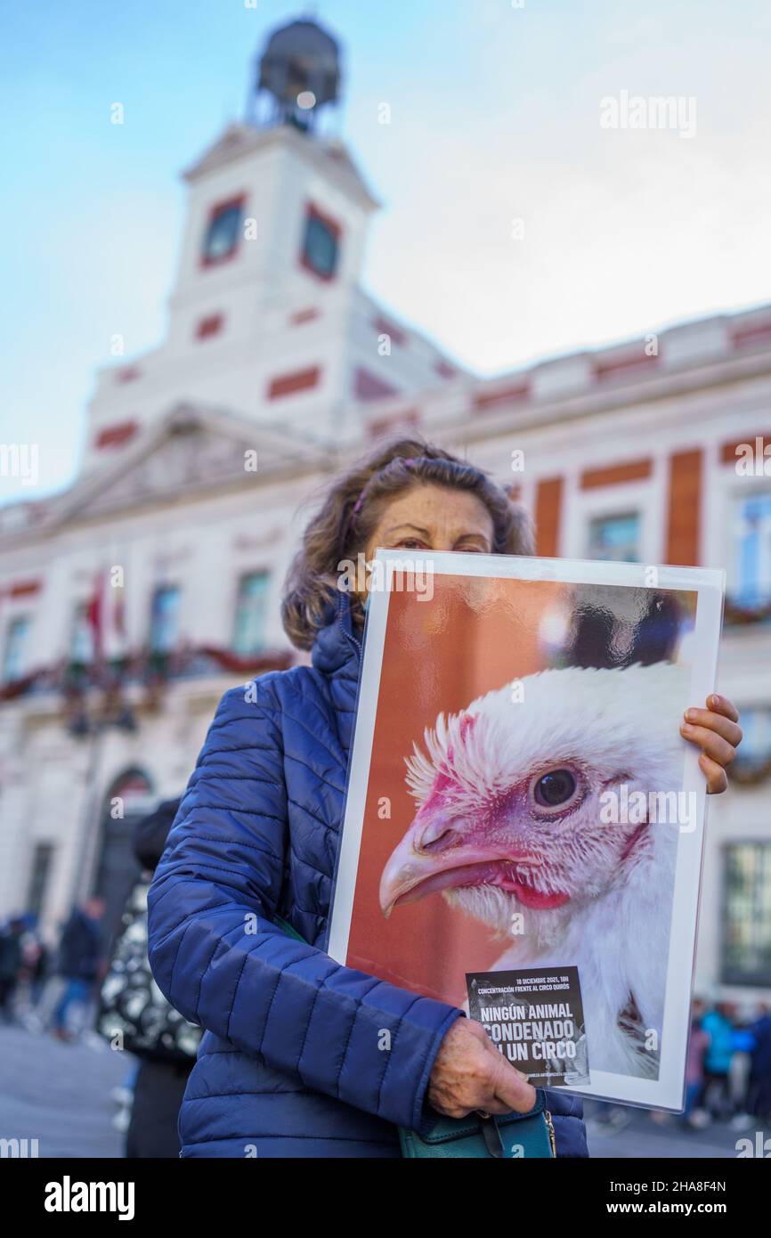 Madrid, Spagna. 11th Dic 2021. Una donna tiene una foto di un pollo, durante una dimostrazione di sostegno dei diritti degli animali e contro il consumo di carne alle feste di Natale a Puerta del Sol. La protesta è stata convocata dall'ONG "IgualdadAnimal”. (Foto di Atilano Garcia/SOPA Images/Sipa USA) Credit: Sipa USA/Alamy Live News Foto Stock