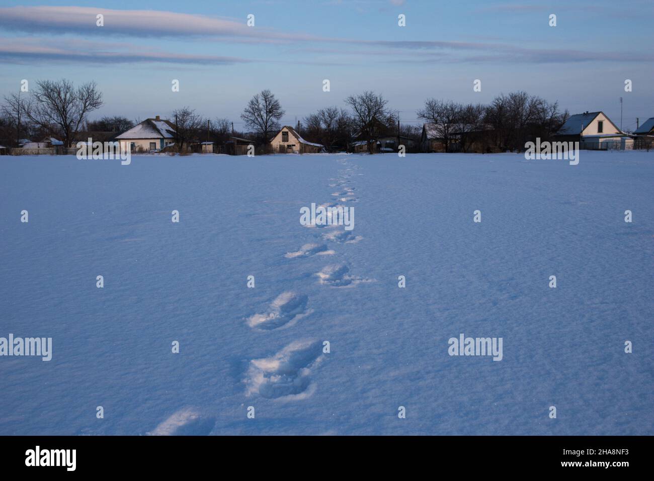 Impronte nella neve. Bella immagine di un villaggio su un grande campo coperto di neve. Foto Stock